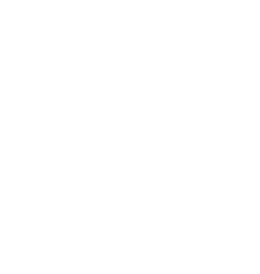 paper_bags_logo_bardhe